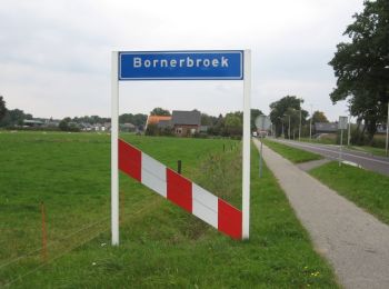 Tour Zu Fuß Almelo - WNW Twente - Bornerbroek - gele route - Photo