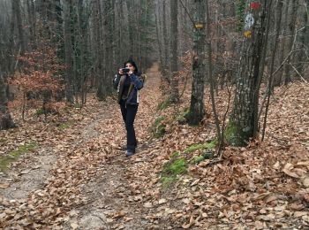Trail Walking Saint-Laurent-de-Cerdans - St laurent de cerdans - Photo