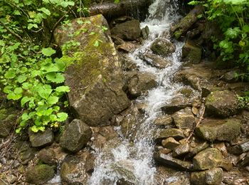 Tour Wandern Montricher-Albanne - Chemin ´°5 - Photo