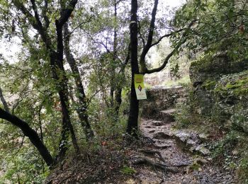Trail Walking La Colle-sur-Loup - la colle falaise - Photo