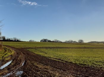 Randonnée Marche Maisnil-lès-Ruitz - Terrils jumeaux des Falandres et du Pays à Part - Photo