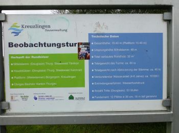 Excursión A pie Romanshorn - CH-Romanshorn - Kreuzlingen - Photo