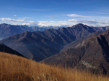 Tocht Te voet Cossogno - P06 - Cicogna - Varola - Curgei - Pizzo Pernice - Photo