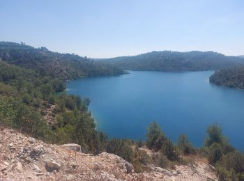 Excursión Bici eléctrica Esparron-de-Verdon - Quinson St Julien Gréoux Esparron  - Photo