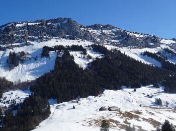 Trail Snowshoes Bellecombe-en-Bauges - 2022-01-28 Raquettes Crêt du Char - Photo