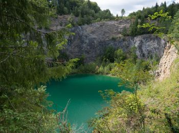 Percorso A piedi Immendingen - DonauWellen-Premiumweg: Donauversinkung - Photo