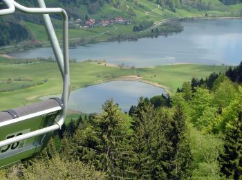 Percorso A piedi Immenstadt im Allgäu - Großer Alpsee Rundwanderweg - Photo