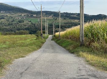 Trail On foot Colombier-le-Vieux - Randonnée : Les Gorges de la Daronne - Photo