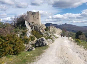 Trail Walking Bargème - Bargème autour - Photo