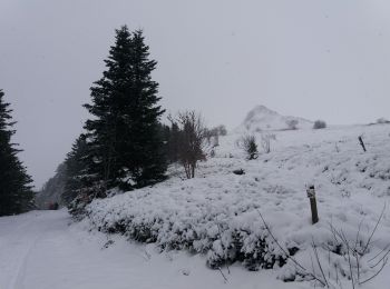 Randonnée Raquettes à neige Chastreix - Chastreix10-01-24 - Photo