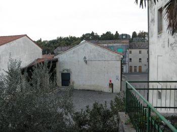 Randonnée A pied Barbarano Mossano - Sentiero delle Fontanelle - Photo