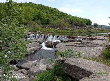 Trail Walking Pont de Montvert - Sud Mont Lozère - 30 pont Tarn 6 /5/24 - Photo