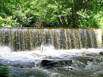 Tour Wandern Sauxillanges - La Chassagne depuis Sauxillanges - Photo