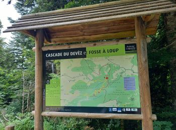 Trail Walking Curières - Le Devez cascade et forêts  - Photo