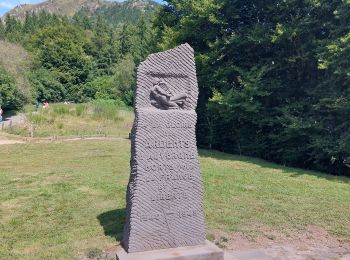 Trail Walking Orcines - puy de dôme  - Photo