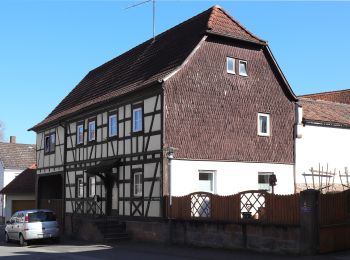 Tour Zu Fuß Obernburg am Main - Rundwanderweg Obernburg Am Bubenbrunnen 3: Eisenpfahl-Weg - Photo