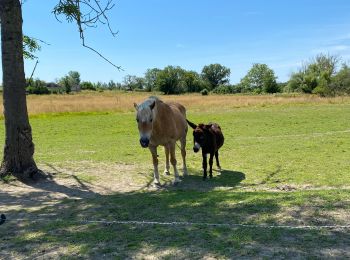 Tocht Stappen Rochefort - Jambline  - Photo