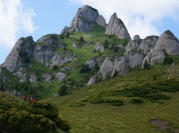 Randonnée A pied Săcele - Cabana Babarunca - Șaua Teslei - Șaua Tigăilor - Photo