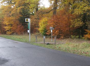 Trail On foot Hofgeismar - Hessenweg 6, Abschnitt Sababurg - Reinhardshagen - Photo