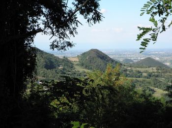Trail On foot Rovolon - Sentiero del Monte della Madonna - Photo