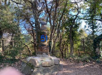 Excursión Senderismo Le Muy - Les trois croix  Roquebrune - Photo