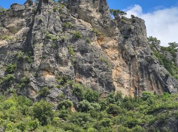 Trail Walking Saint-Guilhem-le-Désert - Guilheme le désert  - Photo