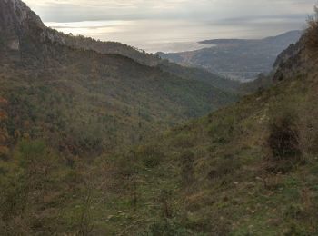 Percorso Sentiero Castellaro - Grand mont- col du berceau or les crêtes - Photo