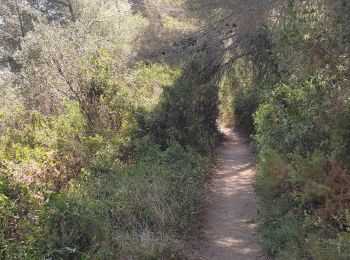 Trail Walking Martigues - Promenade sur la rive de l'étang de Berre  - Photo