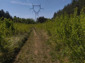 Trail Walking Charmes-sur-Rhône - 07 charmes sur rhone - Photo