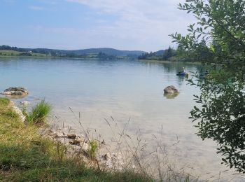 Trail Electric bike Saint-Laurent-en-Grandvaux - 280724 - Photo