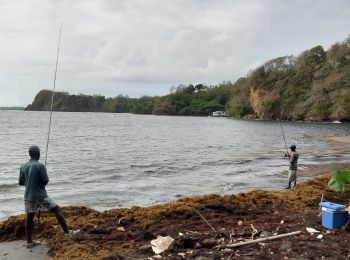 Tour Wandern Sainte-Marie - Belle étoile  vers la pointe Lahoussaye par Anse du four - Photo