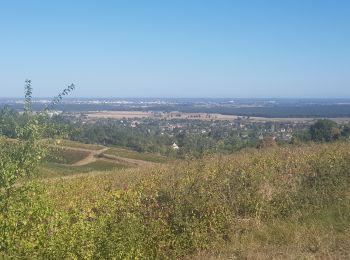 Trail Walking Givry - Russilly La Chaume - Photo