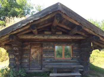 Tocht Stappen Masevaux-Niederbruck - Niederbruck - Photo