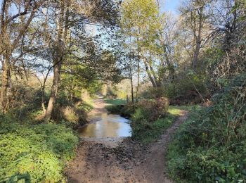 Tour Wandern Périgneux - Boucle Marieux -Fressonnais - Photo