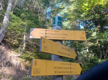 Trail Walking Ubaye-Serre-Ponçon - S VINCENT LES FORTS . CANAL DE LA PISSE . FONTAINE DE LANE . FONTAINE DU LOIUP . O L S. NZ . - Photo