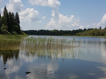 Tour Zu Fuß Les Crozets - Les Crozets-Lac d'Etival - Photo