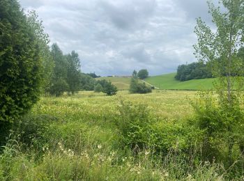 Tocht sport Urcuit - Urcuit les barrages de Ardanavy - Photo