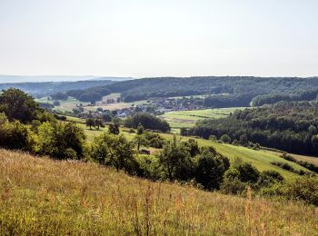 Percorso A piedi Viereth-Trunstadt - Rundweg Priesendorf P 3 