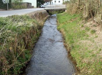 Percorso A piedi Wiesenbach - Rundwanderweg Am Sportplatz 2: Judenwald-Weg - Photo