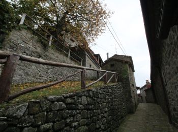 Trail On foot Loro Ciuffenna - IT-49 - Photo