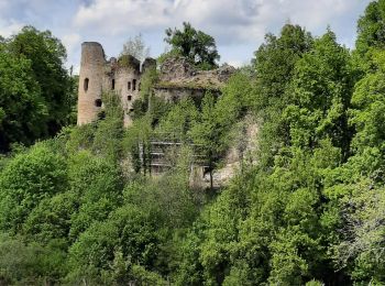 Randonnée Marche Oberlarg - oberlag- château de morimont  - Photo