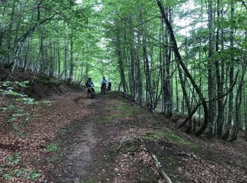 Excursión Bici de montaña Urrugne - Iraty 2  - Photo