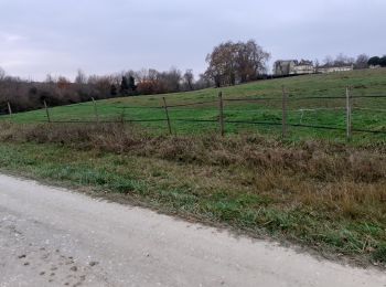 Trail Walking Cissac-Médoc - Cissac Fontesteau - Photo