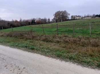 Tour Wandern Cissac-Médoc - Cissac Fontesteau - Photo