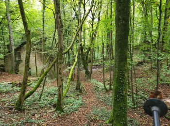 Tour Wandern Pont-Saint-Vincent - Le chemin des mines - Photo