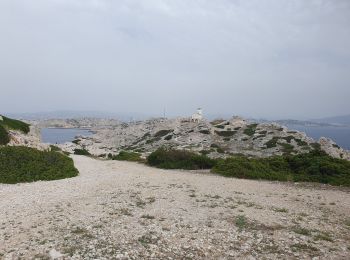 Tour Wandern Marseille - Frioul Pomègues - Photo