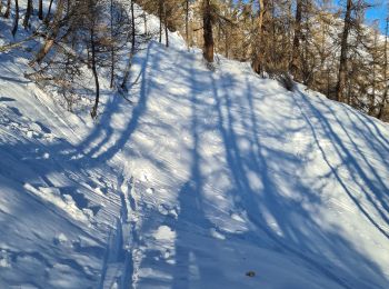 Randonnée Ski de randonnée Le Petit Jardin - col du crot col de la rousse - Photo