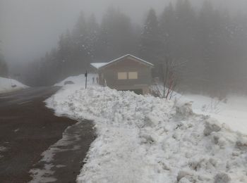 Randonnée Raquettes à neige Bouvante - 26 serre plume - Photo