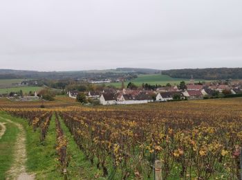 Randonnée Marche Château-Thierry - RP51-06 Château-Thierry à Nogent-l'Artaud - Photo