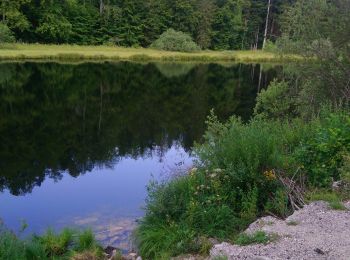 Randonnée Marche Les Crozets - les crozets lac de la Fauge  - Photo